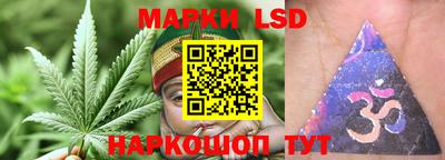 PSILOCYBIN Будённовск